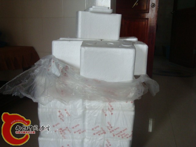 DSC06981.JPG