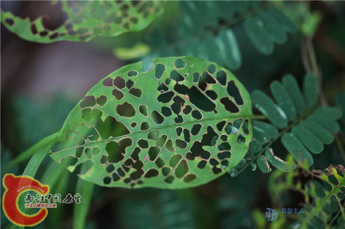 照片 003.jpg