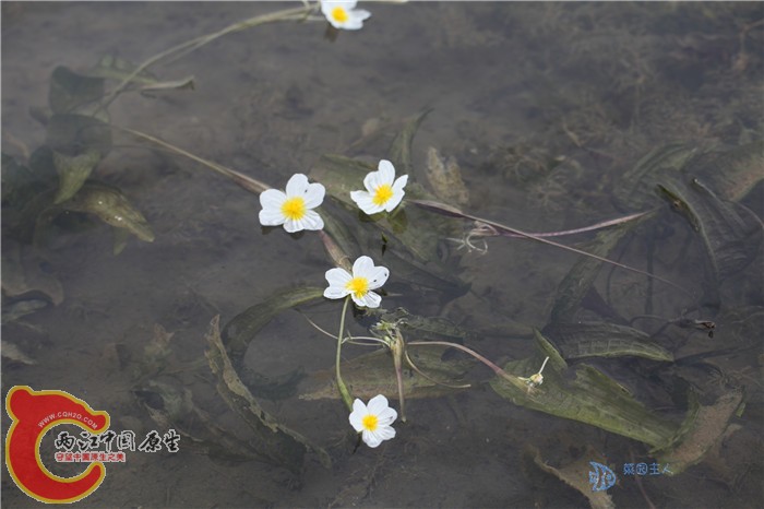 照片 006.jpg
