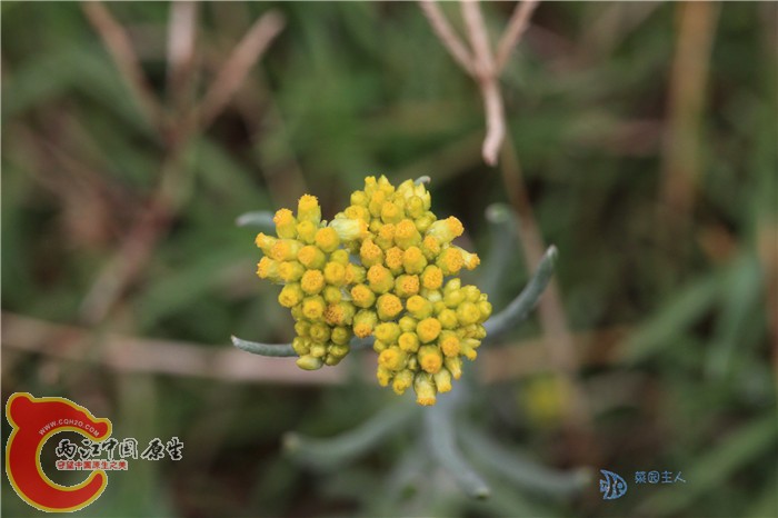 照片 010.jpg