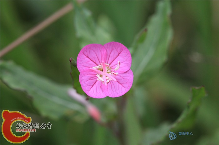 照片 012.jpg