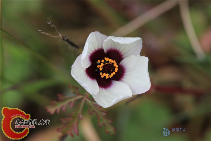 照片 017.jpg