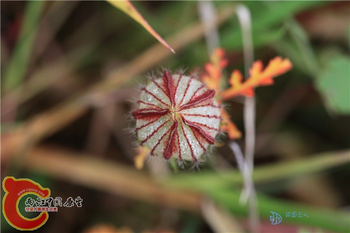 照片 019.jpg
