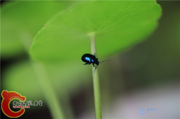 照片 025.jpg
