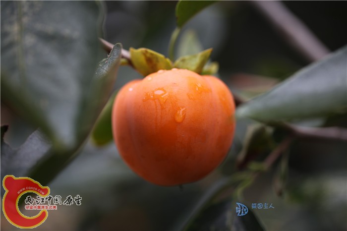 照片 029.jpg