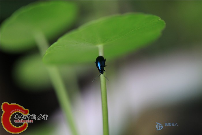 照片 029_副本.jpg