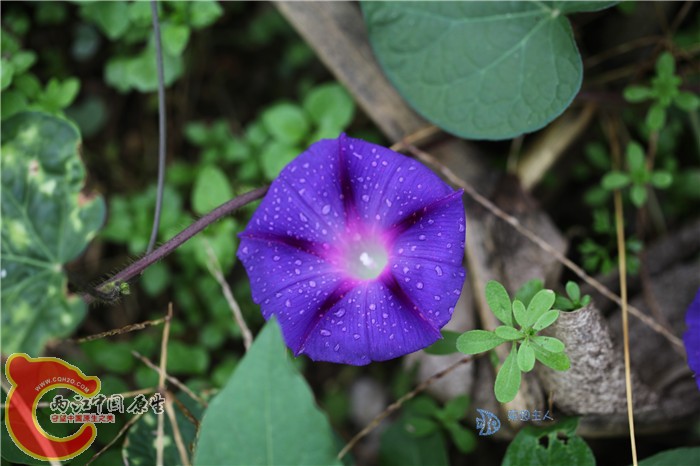 照片 032.jpg