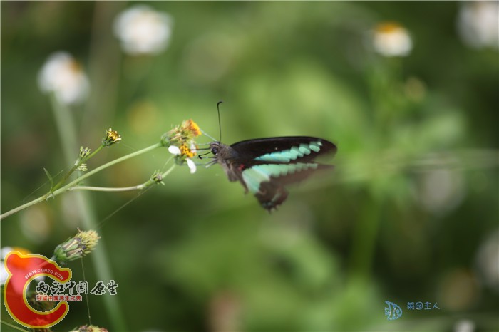 照片 039.jpg
