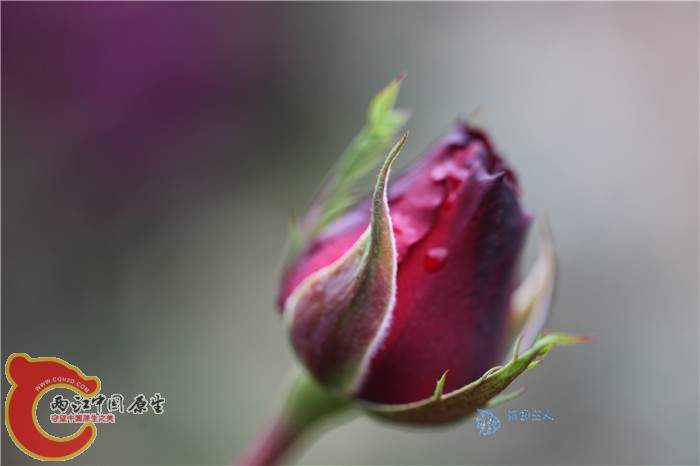 照片 040.jpg