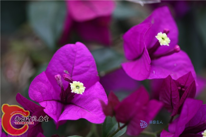 照片 043.jpg