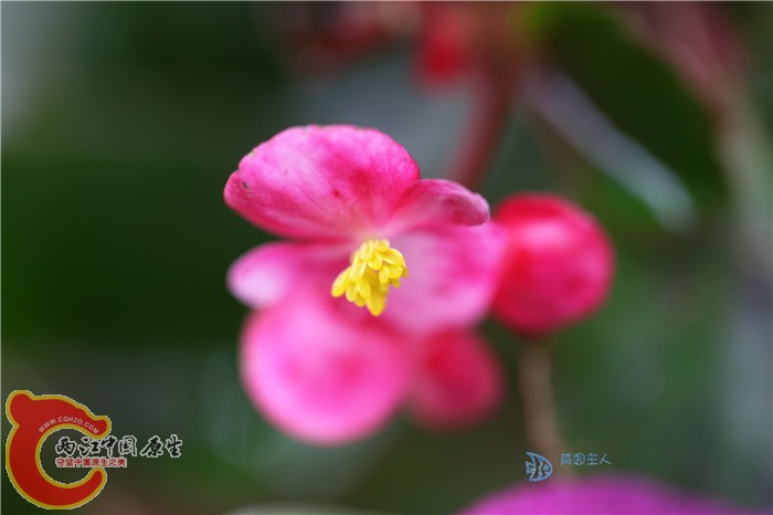 照片 045.jpg