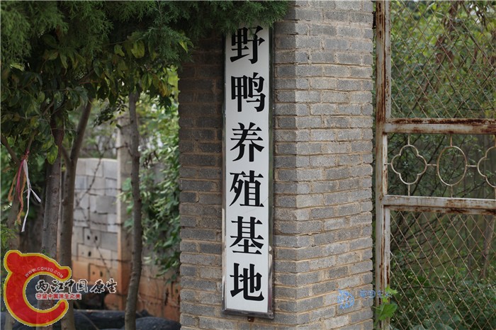 照片 069.jpg