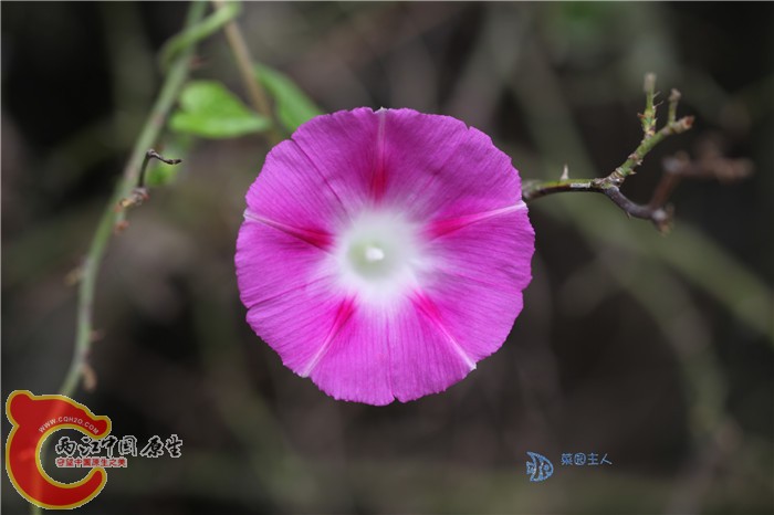照片 071.jpg
