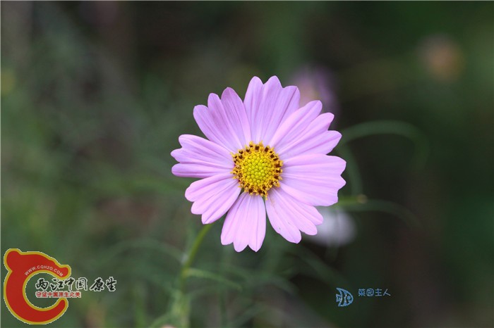 照片 077.jpg
