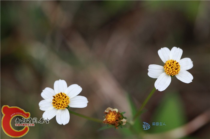 照片 082.jpg