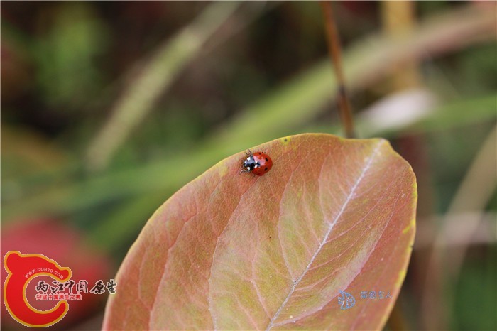 照片 088.jpg