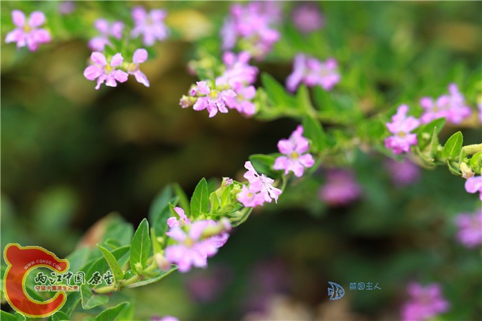 照片 097.jpg