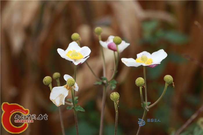 照片 127.jpg