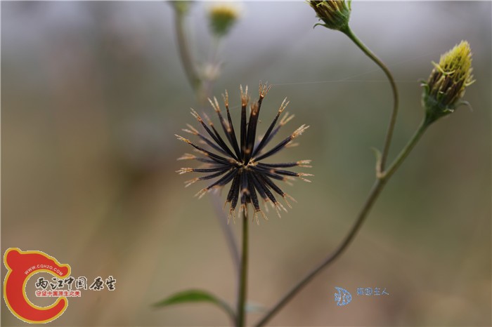 照片 156.jpg