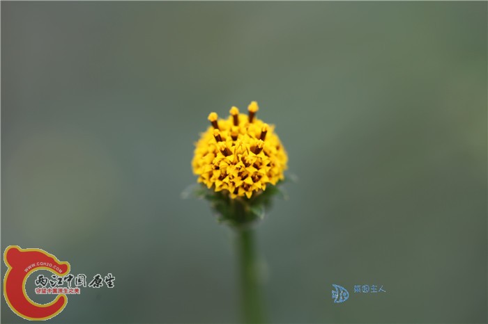 照片 160.jpg