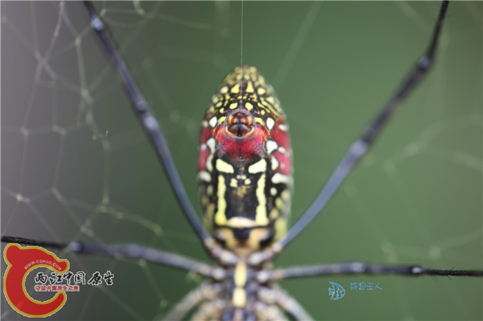 照片 166.jpg