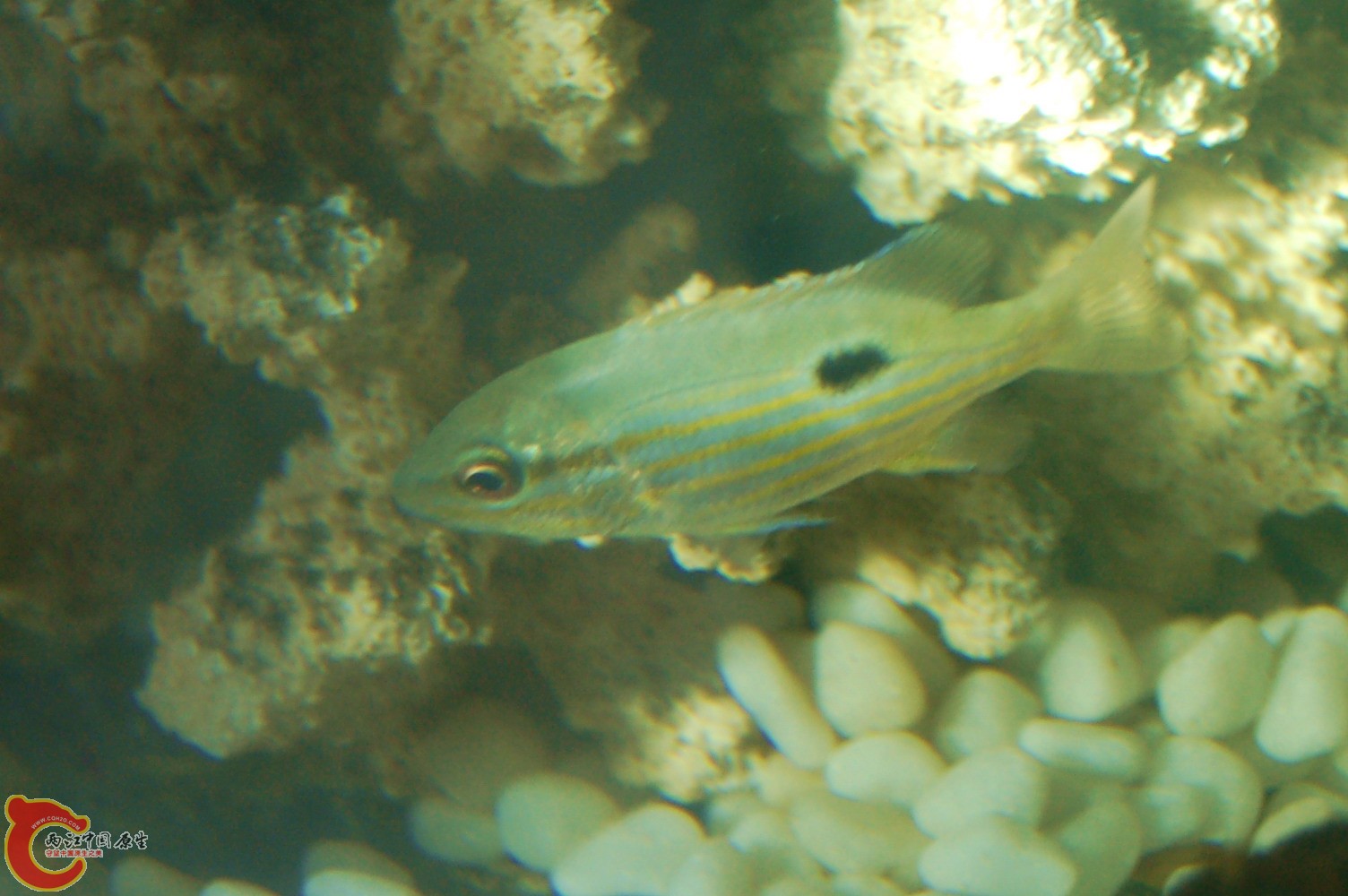DSC_0039.JPG DSC_0039.JPG