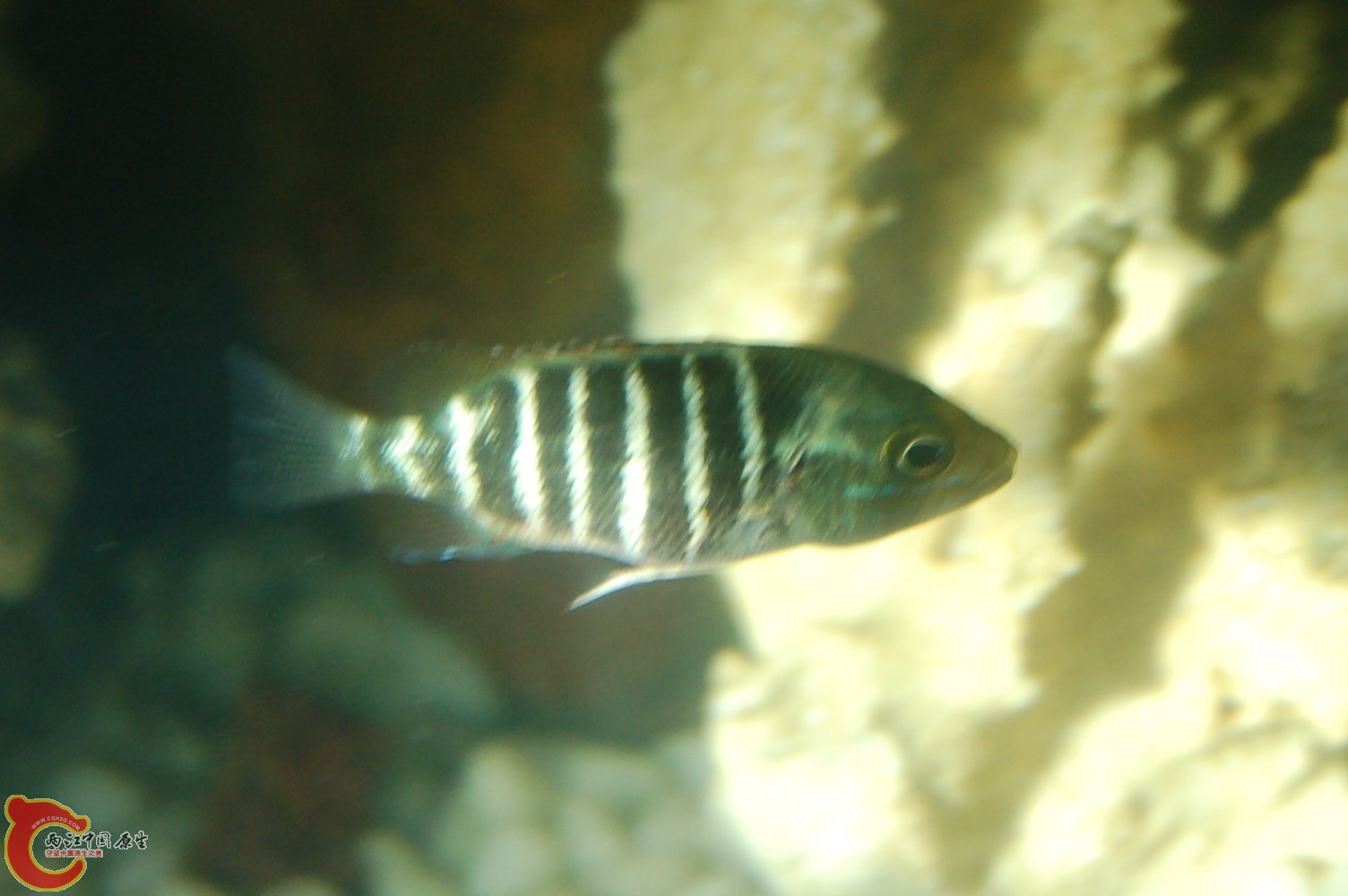 DSC_0048.JPG DSC_0048.JPG