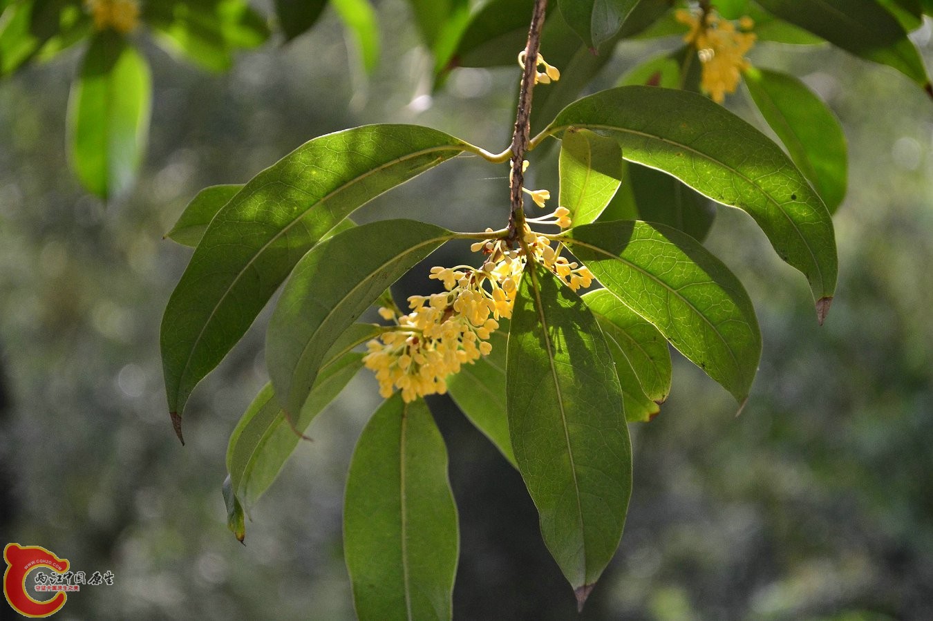 20131004-3759.JPG 20131004-3759.JPG