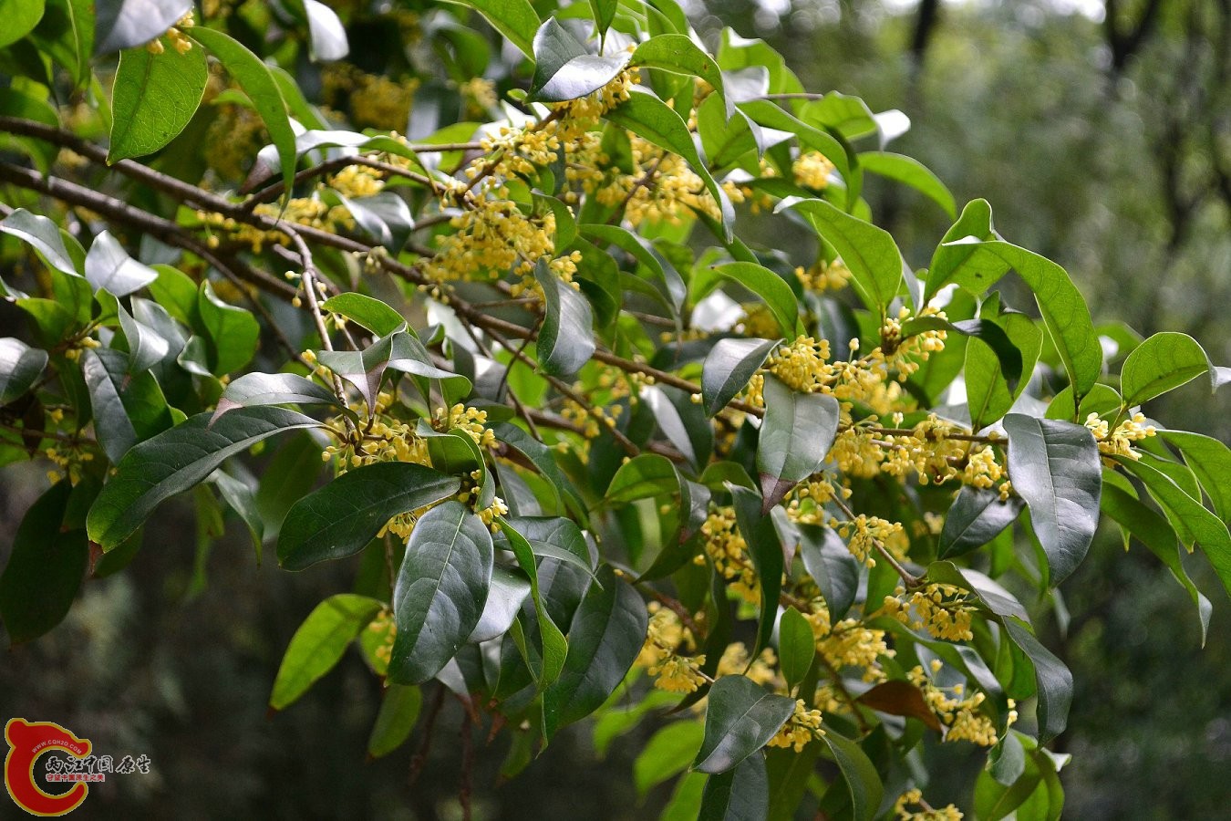 20131004-3760.JPG 20131004-3760.JPG