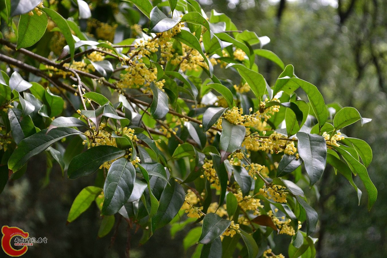 20131004-3761.JPG 20131004-3761.JPG