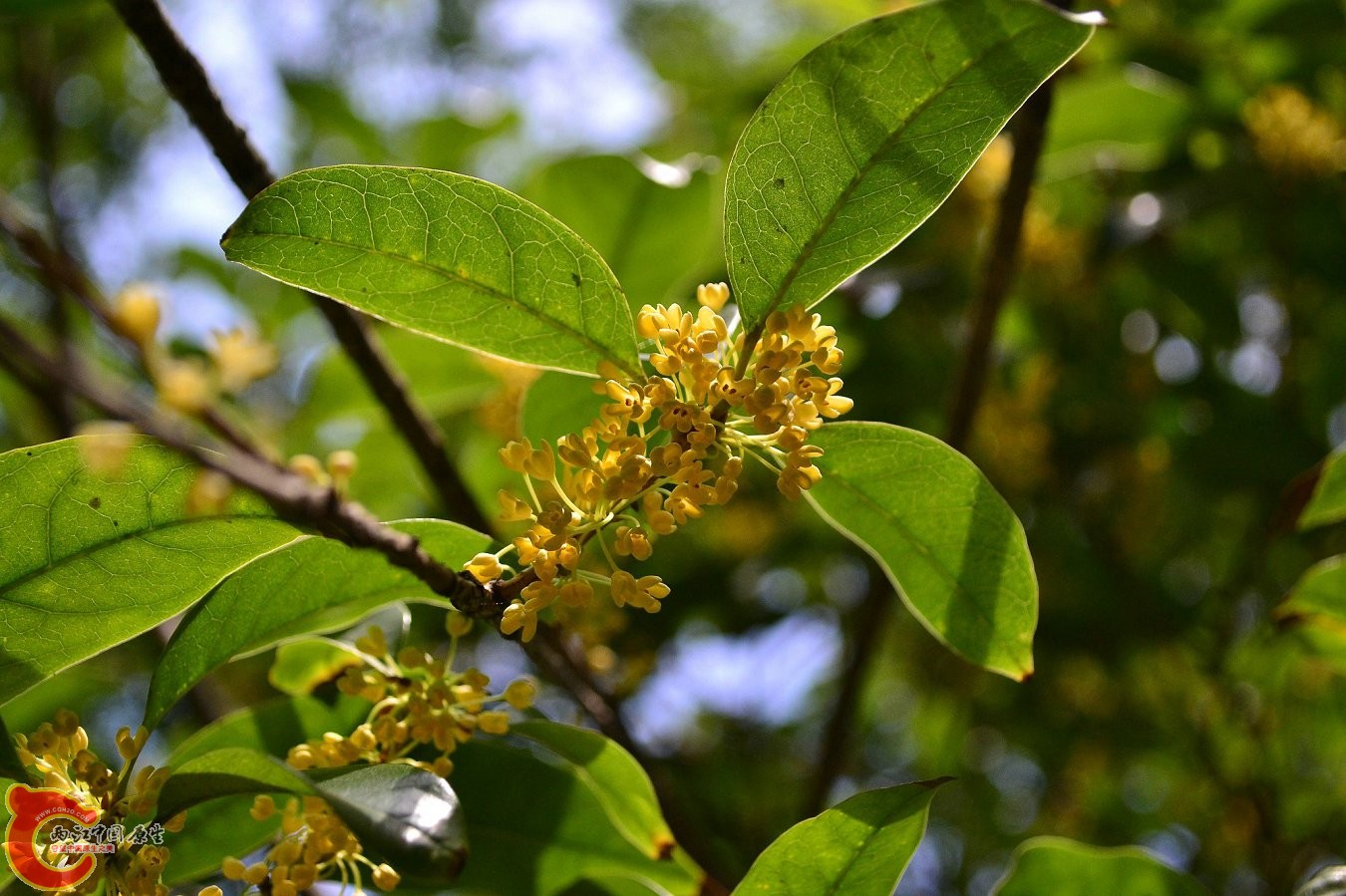 20131004-3765.JPG 20131004-3765.JPG