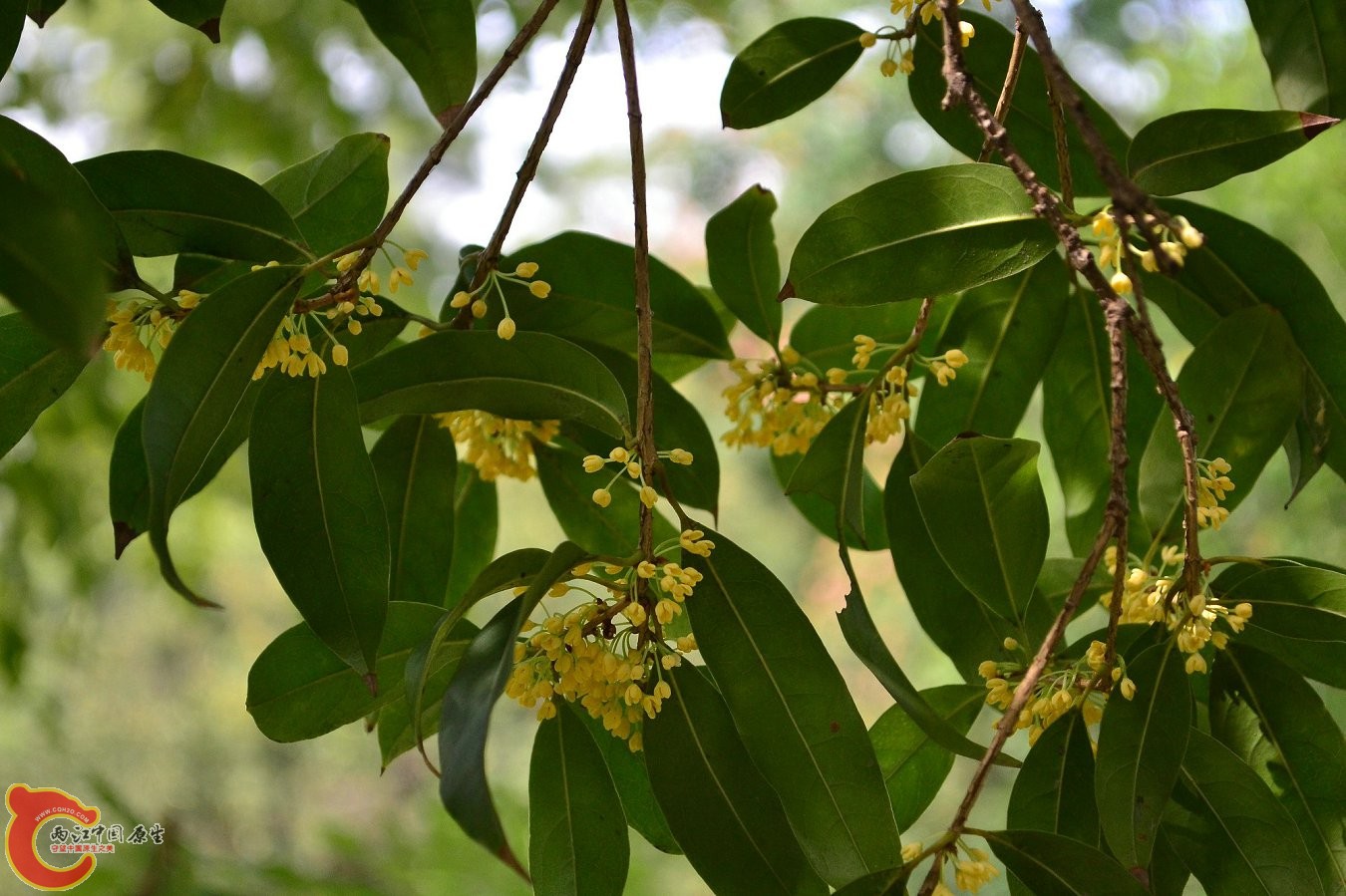 20131004-3767.JPG 20131004-3767.JPG