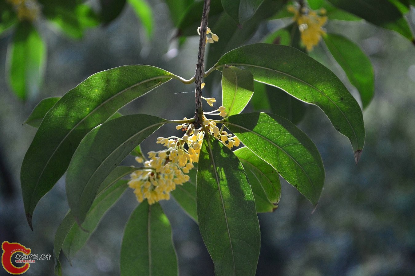 20131004-3769.JPG 20131004-3769.JPG