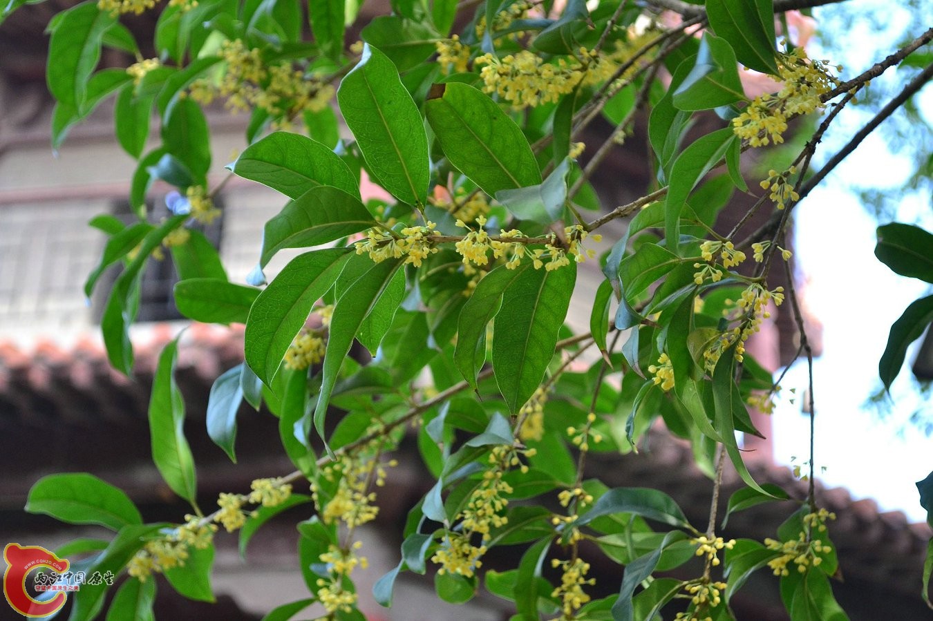 20131004-3771.JPG 20131004-3771.JPG