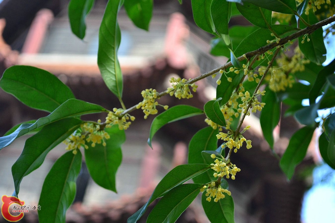 20131004-3772.JPG 20131004-3772.JPG