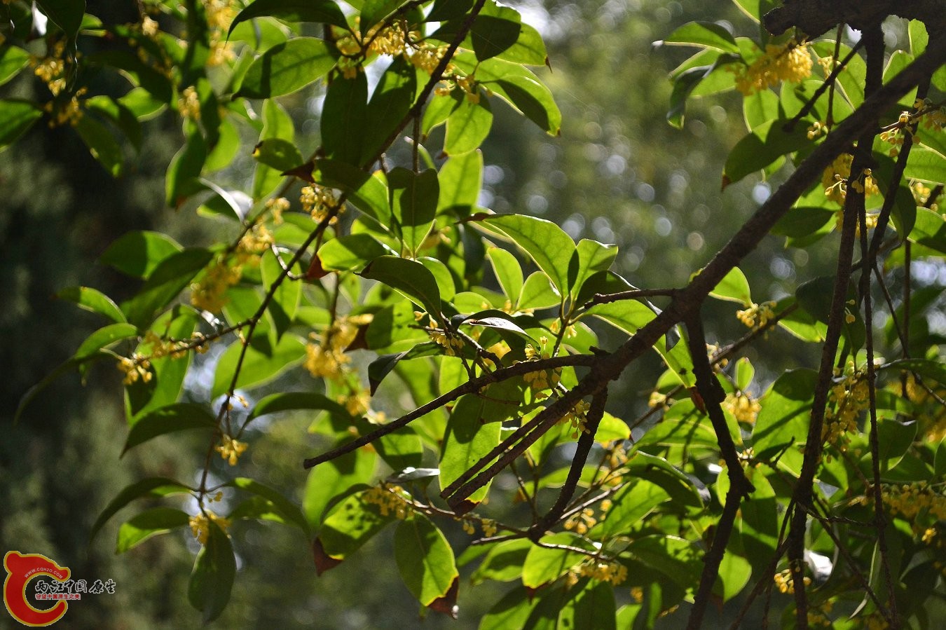 20131004-3792.JPG 20131004-3792.JPG