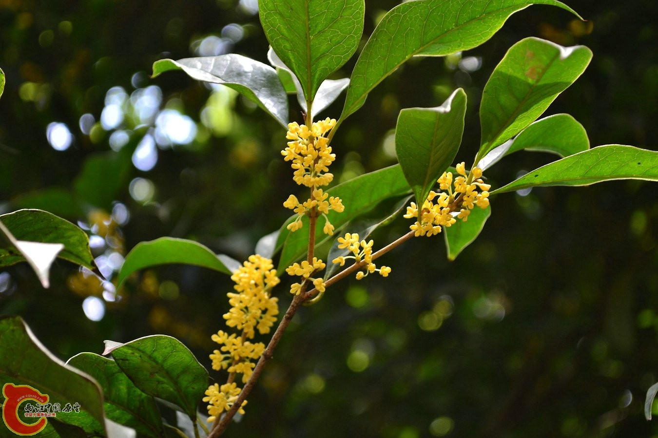 20131004-3992.JPG 20131004-3992.JPG