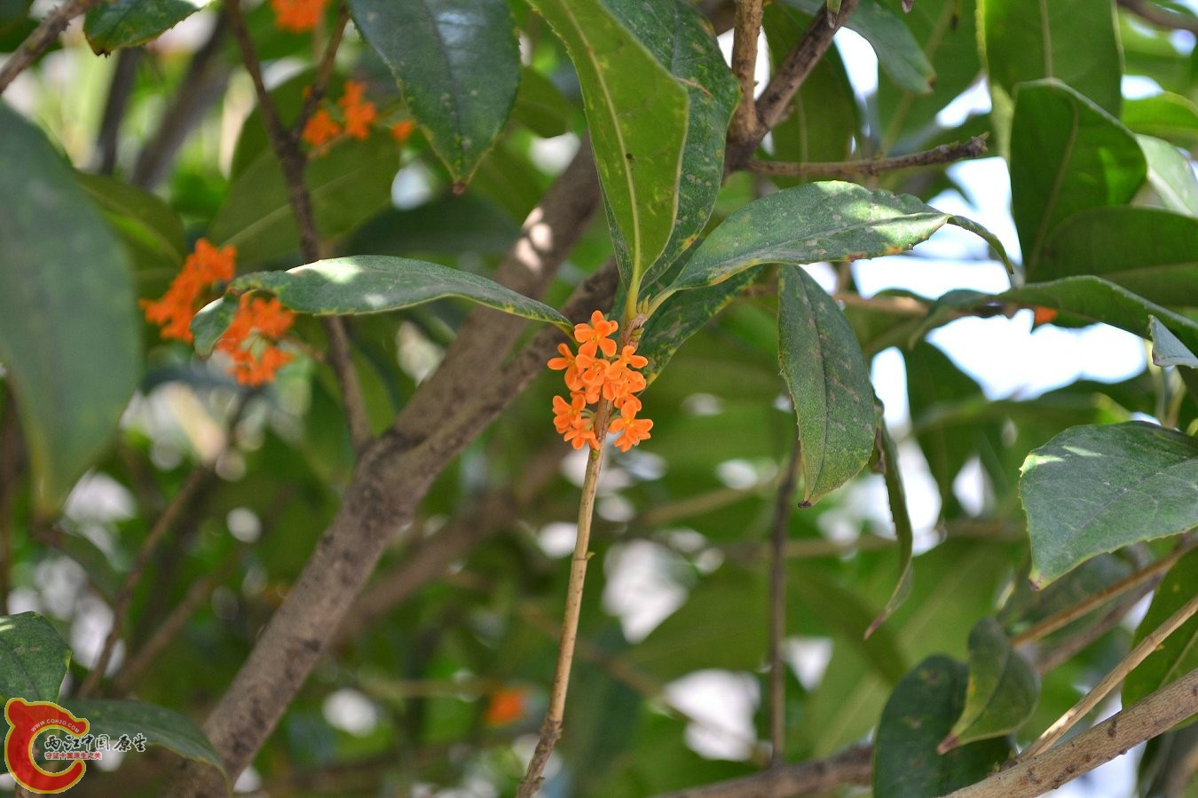 20131004-4020.JPG 20131004-4020.JPG