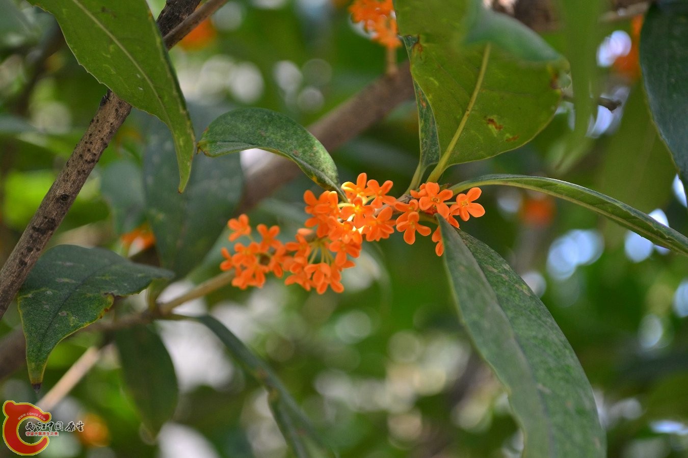 20131004-4021.JPG 20131004-4021.JPG