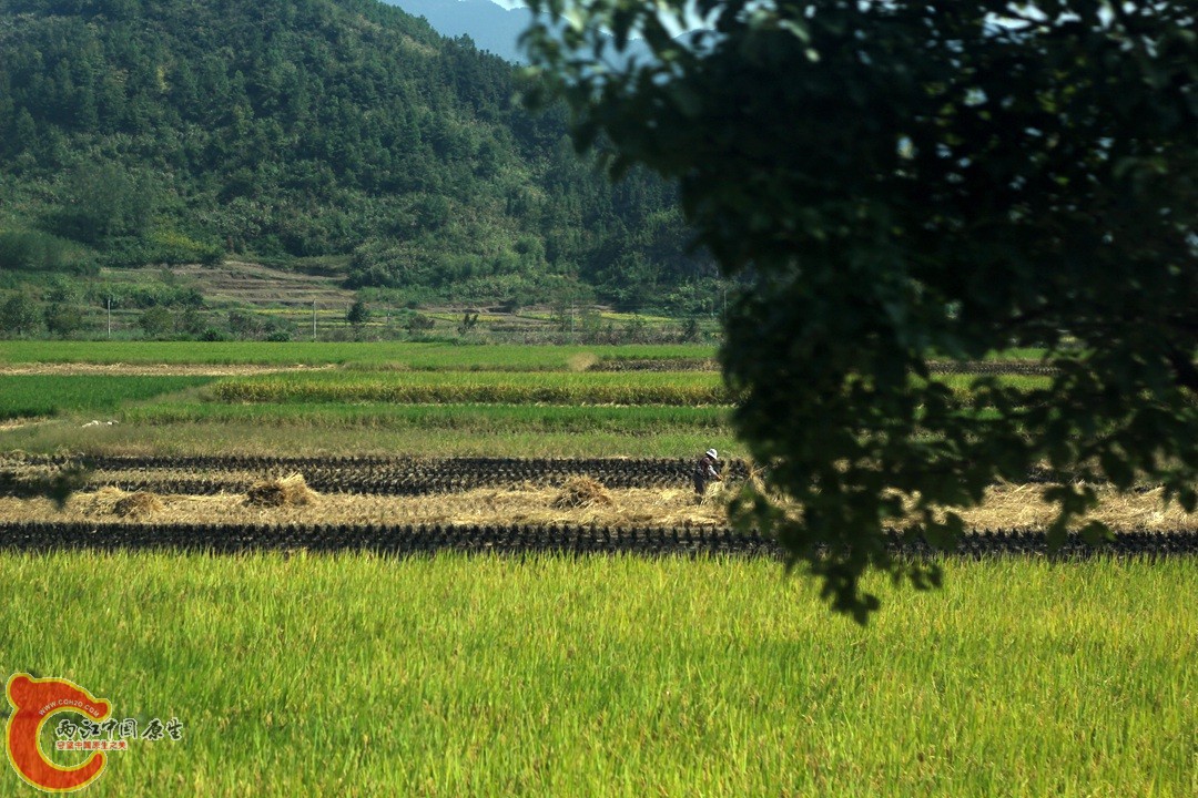 IMG_1018_副本.jpg