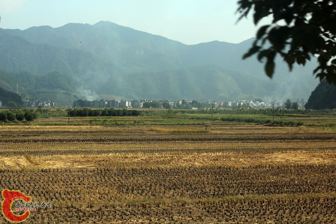 IMG_1022_副本.jpg