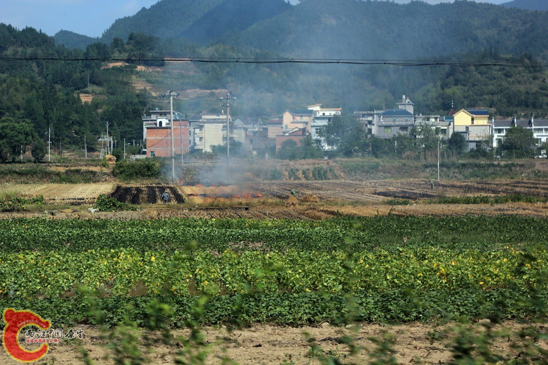 IMG_1039_副本.jpg