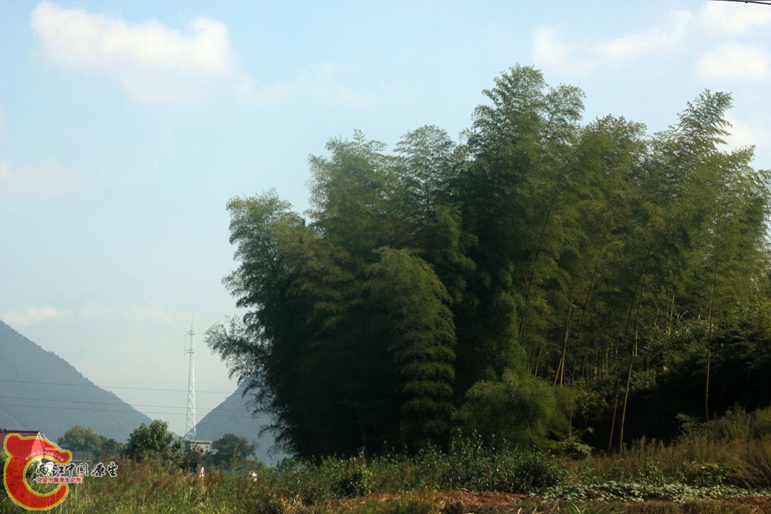 IMG_1049_副本.jpg