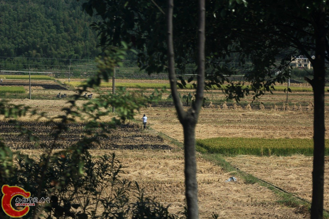 IMG_1070_副本.jpg
