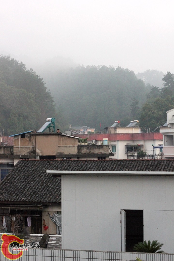 IMG_1094_副本.jpg