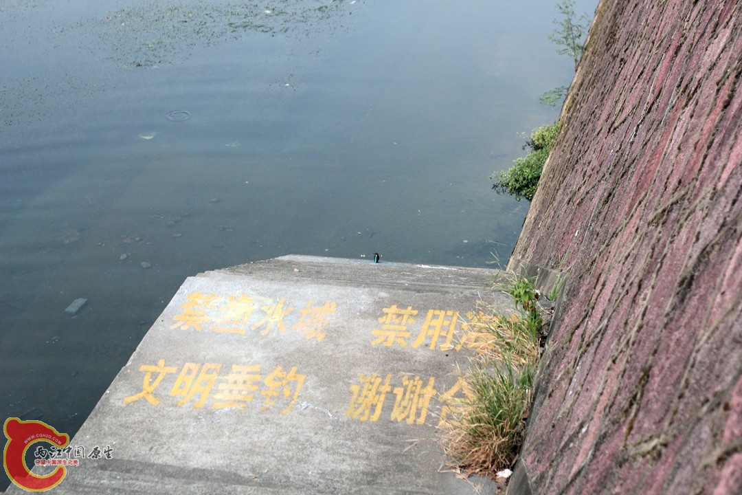 IMG_1098_副本.jpg