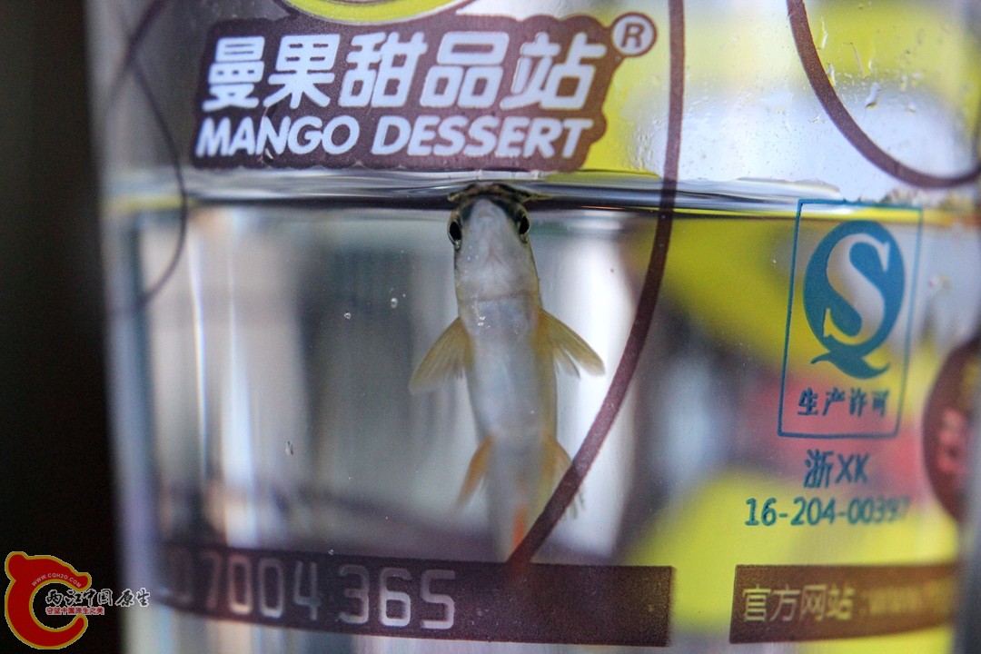 IMG_1180_副本.jpg