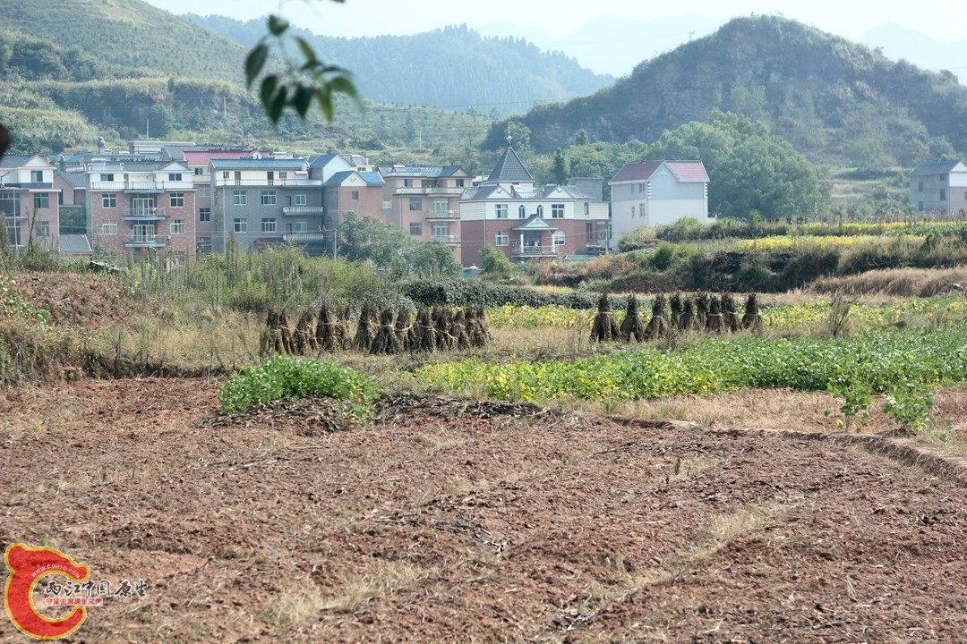 IMG_1190_副本.jpg