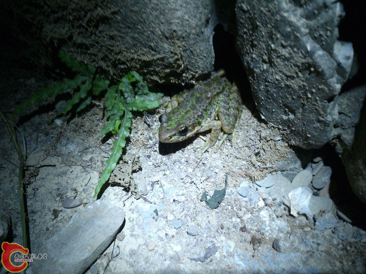 DSC_0181_副本.jpg