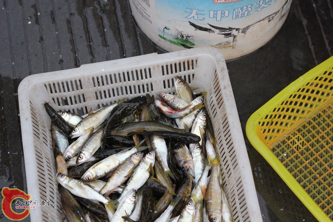 IMG_1261_副本.jpg